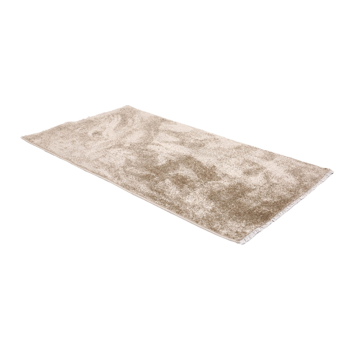 AS-TE-Stevie