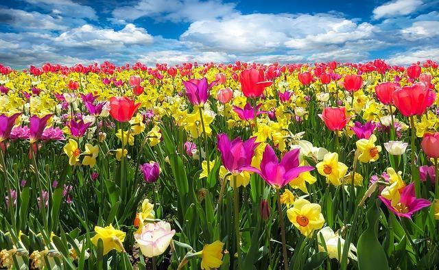 Frühlingsteppiche und Frühlingsmatten. Teppiche und Fußmatten für den Frühling.