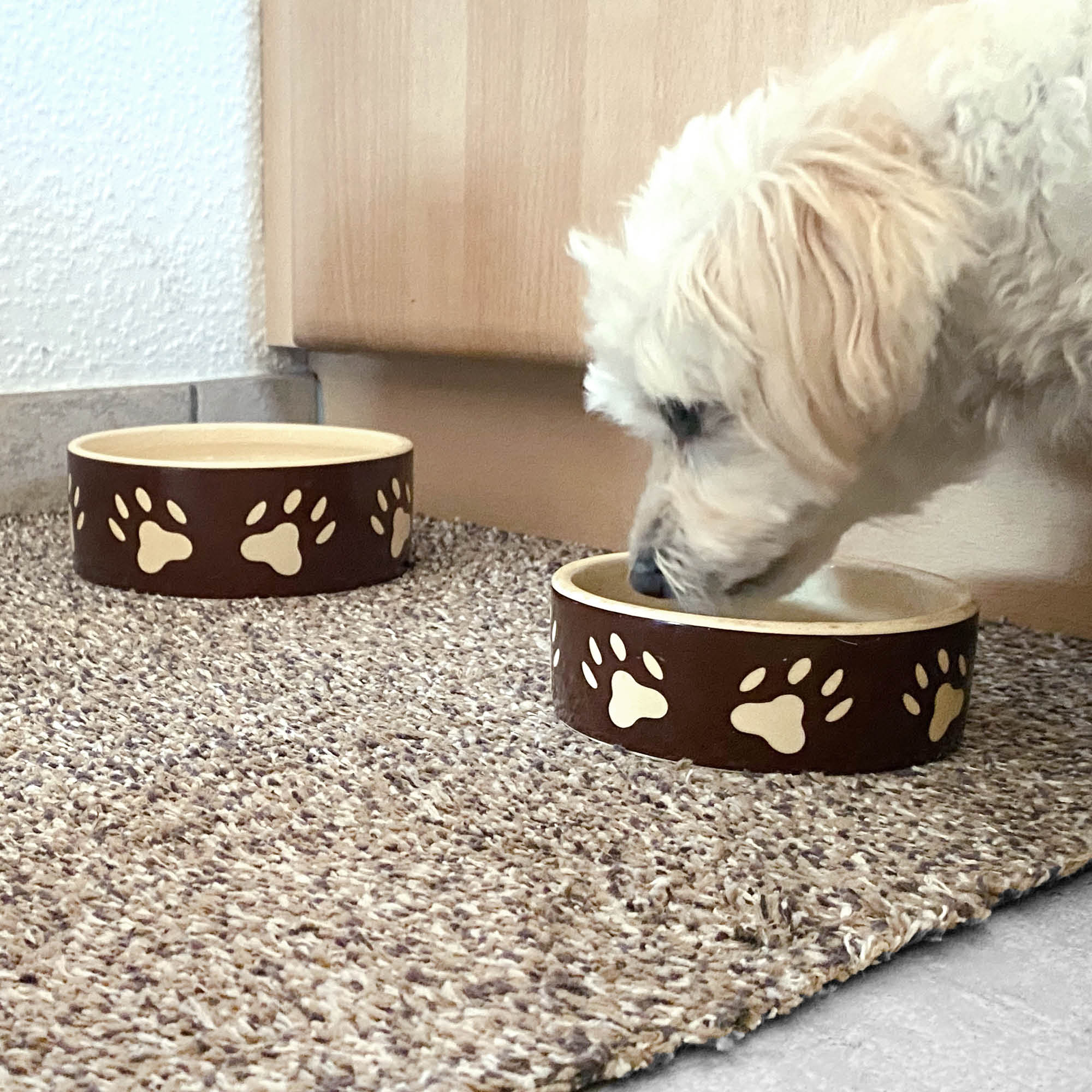 Fußmatte ENTRA SAUGSTARK 2er Set – waschbar