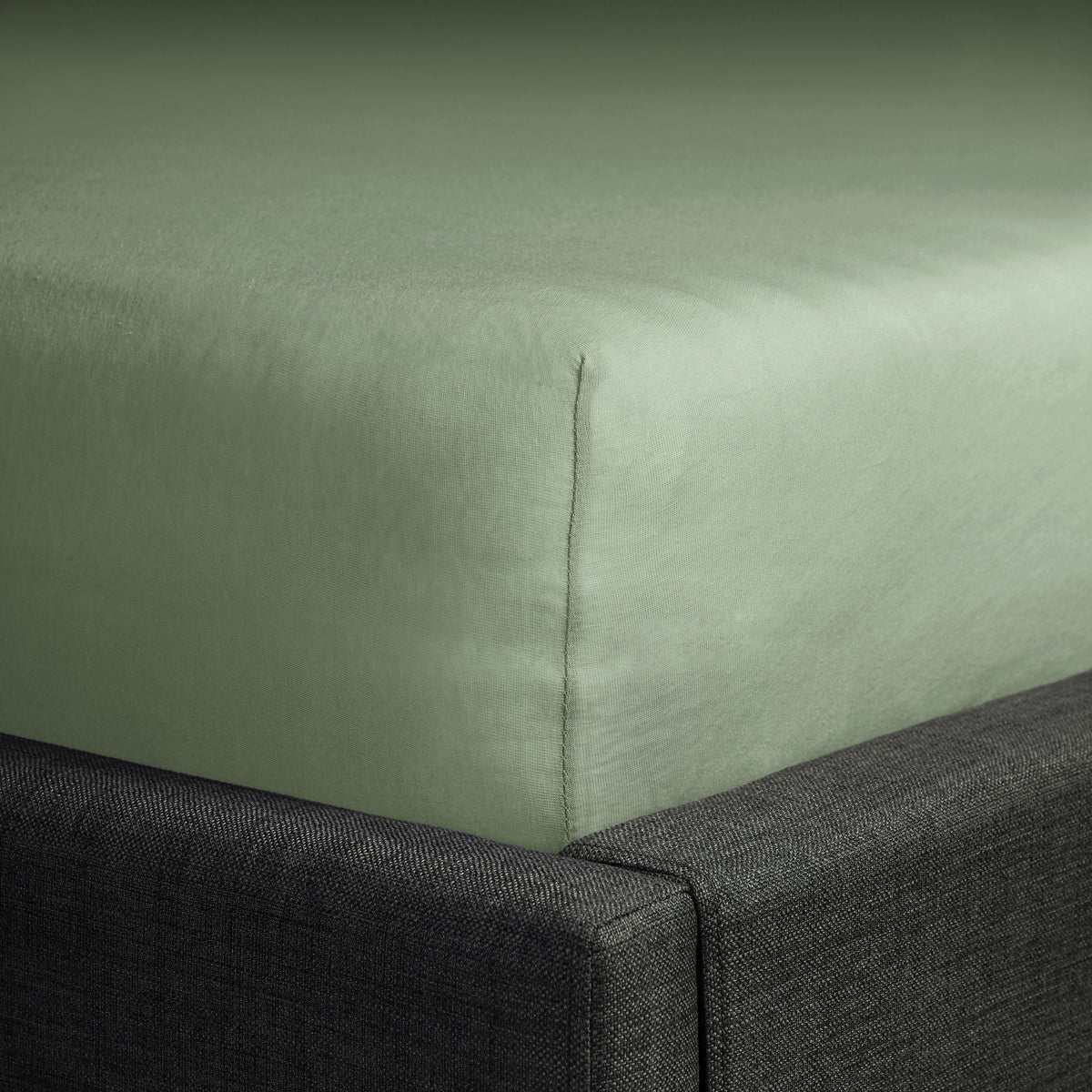 SCHÖNER WOHNEN Spannbettlaken, Spannbetttuch, 100x200cm, 150x200cm, 200x200cm, Jersey-Elasthan